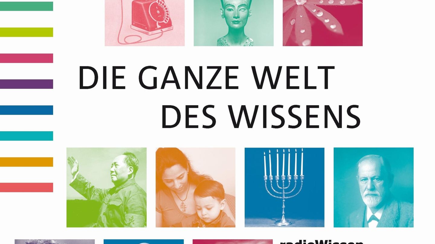 Die ganze Welt des Wissens in einem Tag  In der Schule nicht immer so genau aufgepasst und ein gutes Stück Allgemeinwissen verpasst?  Kein Problem, hier kommt der Intensivkurs. Die Uni für die Ohren sozusagen. Wie funktioniert das menschliche Herz? Wie kam die Vanille in unsere Küchen, wie die Religion in unser Leben? Wie gefährlich war Dschingis Khan wirklich? Und was ist eigentlich der wahre Sinn des Lebens und was ist der Tod?  60 hochwertig produzierte "Unterrichtseinheiten" aus acht Themengebieten. Mittlerweile ist auch ein zweiter Teil erhältlich. 