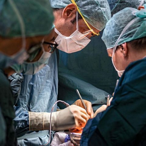 Organspendeausweis: Ein Gespräch über das Für und Wider