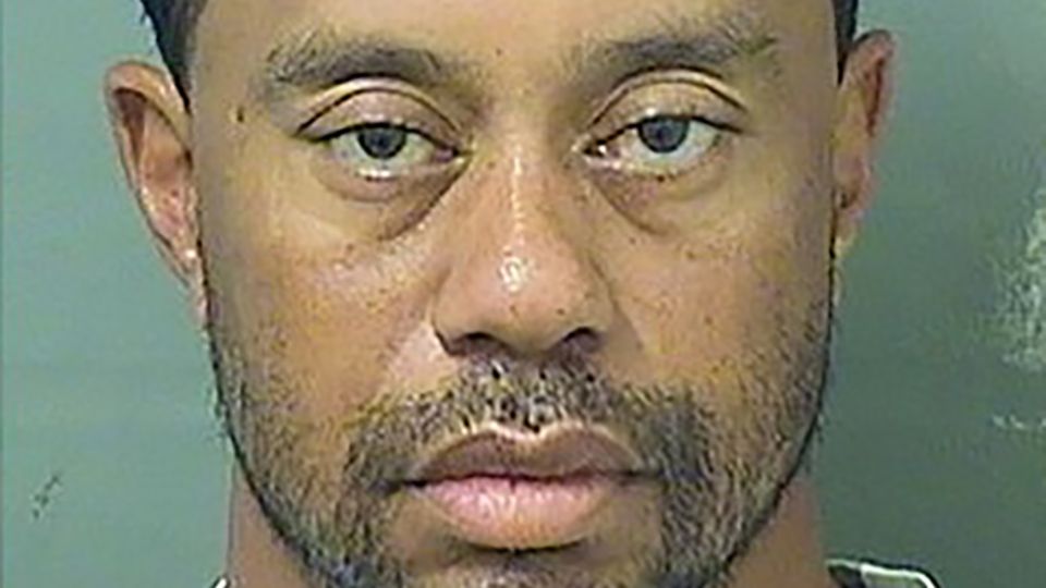 Tiger Woods Polizei Mugshot Tiger Woods schaut für ein Polizeifoto direkt in die Kamera. Er ist unrasiert und wirkt aufgedunsen