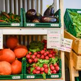 1. Mindesthaltbarkeit statt Mülltonne: Dieser Berliner Supermarkt verkauft abgelaufene Lebensmittel  Jeder Deutsche verschwendet täglich 150g Lebensmittel – und einen Teil davon, weil das Mindesthaltbarkeitsdatum (MHD) abgelaufen ist. Denn obwohl das Datum kein Wegwerfdatum ist, sondern nur angibt, bis wann ein Lebensmittel seine bestmögliche Qualität hält, führt es viele Verbraucher in die Irre. Das wollte Raphael Fellmer ändern und gründete in Berlin den Supermarkt SirPlus. Im Laden im Stadtteil Neukölln werden nur Lebensmittel verkauft, deren MHD fast erreicht oder überschritten ist. Die Lebensmittel kommen von Partnern aus ganz Deutschland, die sie gegen einen symbolischen Preis abgeben. Vor Ort werden sie dann geprüft und Online oder im Laden verkauft. Auch wenn der Laden bisher noch keinen Gewinn abwirft, will Gründer Raphael Fellmer schon bald eine weitere Filiale eröffnen.