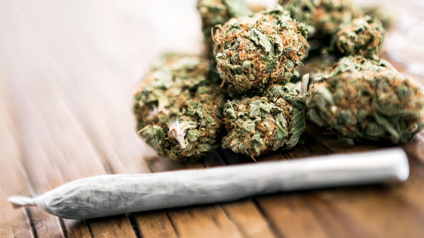 Cannabis