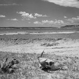 Zurück blieb eine Ödnis-