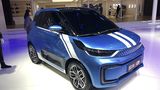 Oshan E1 - Smart Fortwo EV