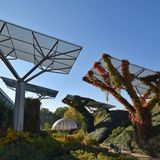 Dach der Universitätsbibliothek  Mitten in der Stadt erstreckt sich ein öffentlich frei zugänglicher Park mit einem 2000 Quadratmeter großen Dachgarten. In dem vor 20 Jahren eröffneten Gebäude lagern zwei Millionen Bücher, daneben und darüber rankt sich das Grün. Von oben hat man einen Blick auf die Skyline der Stadt und das nahe Weichselufer. Bus: Biblioteka Uniwersytecka   Infos: www.buw.uw.edu.pl