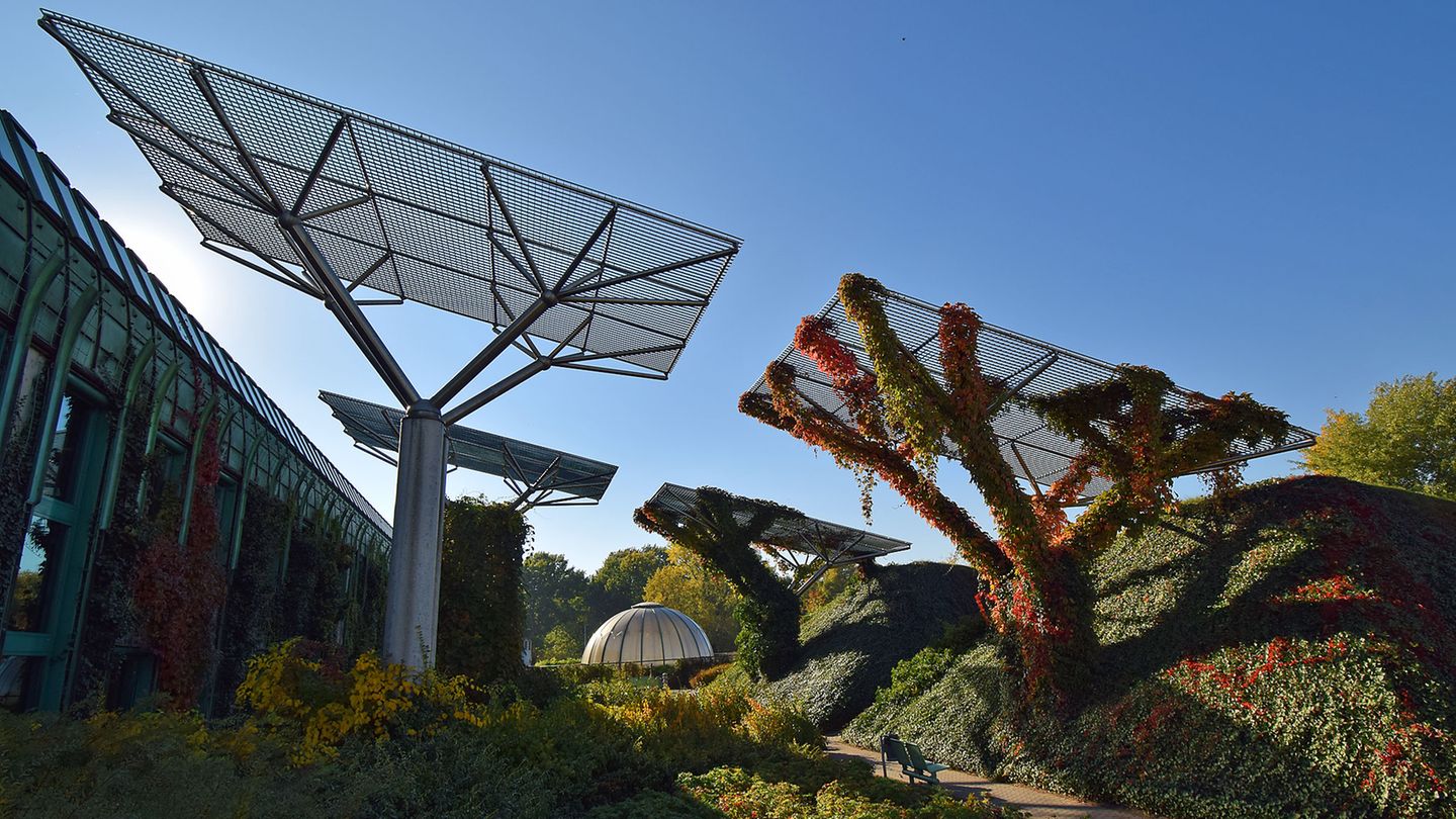 Dach der Universitätsbibliothek  Mitten in der Stadt erstreckt sich ein öffentlich frei zugänglicher Park mit einem 2000 Quadratmeter großen Dachgarten. In dem vor 20 Jahren eröffneten Gebäude lagern zwei Millionen Bücher, daneben und darüber rankt sich das Grün. Von oben hat man einen Blick auf die Skyline der Stadt und das nahe Weichselufer. Bus: Biblioteka Uniwersytecka   Infos: www.buw.uw.edu.pl