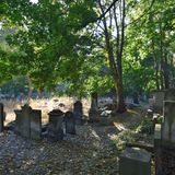 Jüdischer Friedhof  An der Okopowa-Straße liegt einer der größten jüdischen Friedhöfe Europas mit 150.000 erhaltenen Gräbern. Seit dem frühen 19. Jahrhundert hatten hier Menschen ihre letzte Ruhestätte gefunden. Das 33 Hektar umfassende Areal gehört zu den wenigen Spuren der einst reichen jüdischen Kultur Warschaus. Tram: Cmentarz Żydowski   Infos: http://warszawa.jewish.org.pl/pl/dla-zwiedzajacych/warszawa/okopowa/