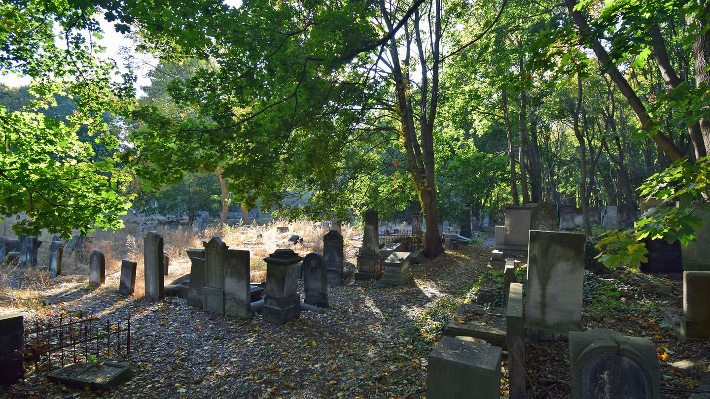 Jüdischer Friedhof  An der Okopowa-Straße liegt einer der größten jüdischen Friedhöfe Europas mit 150.000 erhaltenen Gräbern. Seit dem frühen 19. Jahrhundert hatten hier Menschen ihre letzte Ruhestätte gefunden. Das 33 Hektar umfassende Areal gehört zu den wenigen Spuren der einst reichen jüdischen Kultur Warschaus. Tram: Cmentarz Żydowski   Infos: http://warszawa.jewish.org.pl/pl/dla-zwiedzajacych/warszawa/okopowa/