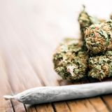 Drogensucht: Cannabis