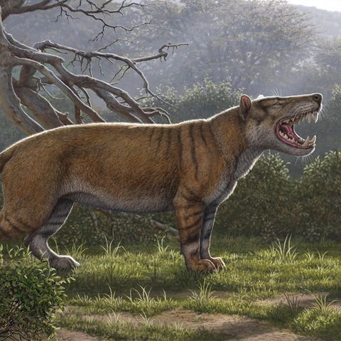 Über 1500 Kilo schwer: Eine Illustration zeigt Simbakubwa kutokaafrika, den Forscher in Afrika entdeckt haben