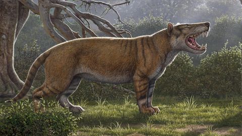 Über 1500 Kilo schwer: Eine Illustration zeigt Simbakubwa kutokaafrika, den Forscher in Afrika entdeckt haben