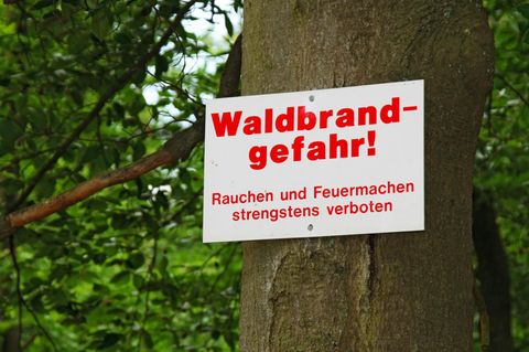 Osterfeuer Waldbrand