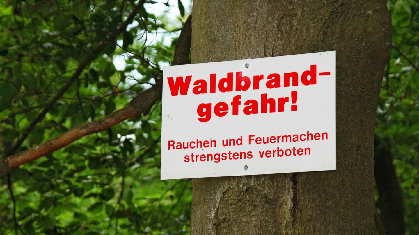 Osterfeuer Waldbrand