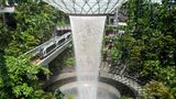 Der tropische Indoor-Regenwald mit Wasserfall