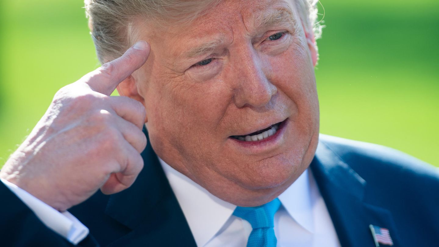 Ein Mann mit Köpfchen? US-Präsident Donald Trump