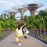 Singapurs grüne Sehenswürdigkeit: Der Park "Gardens by the Bay" umfasst ein mehr als 100 Hektar großes Gelände mit zum Teil vertikalen Gärten