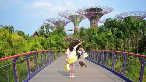 Singapurs grüne Sehenswürdigkeit: Der Park "Gardens by the Bay" umfasst ein mehr als 100 Hektar großes Gelände mit zum Teil vertikalen Gärten