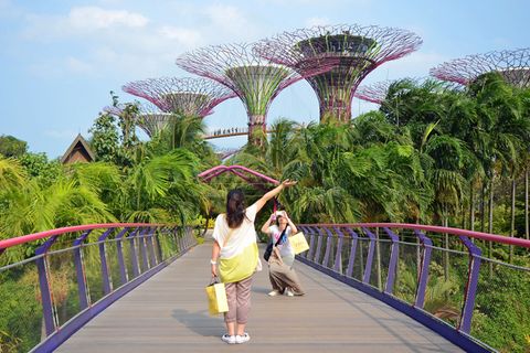 Singapurs grüne Sehenswürdigkeit: Der Park "Gardens by the Bay" umfasst ein mehr als 100 Hektar großes Gelände mit zum Teil vertikalen Gärten