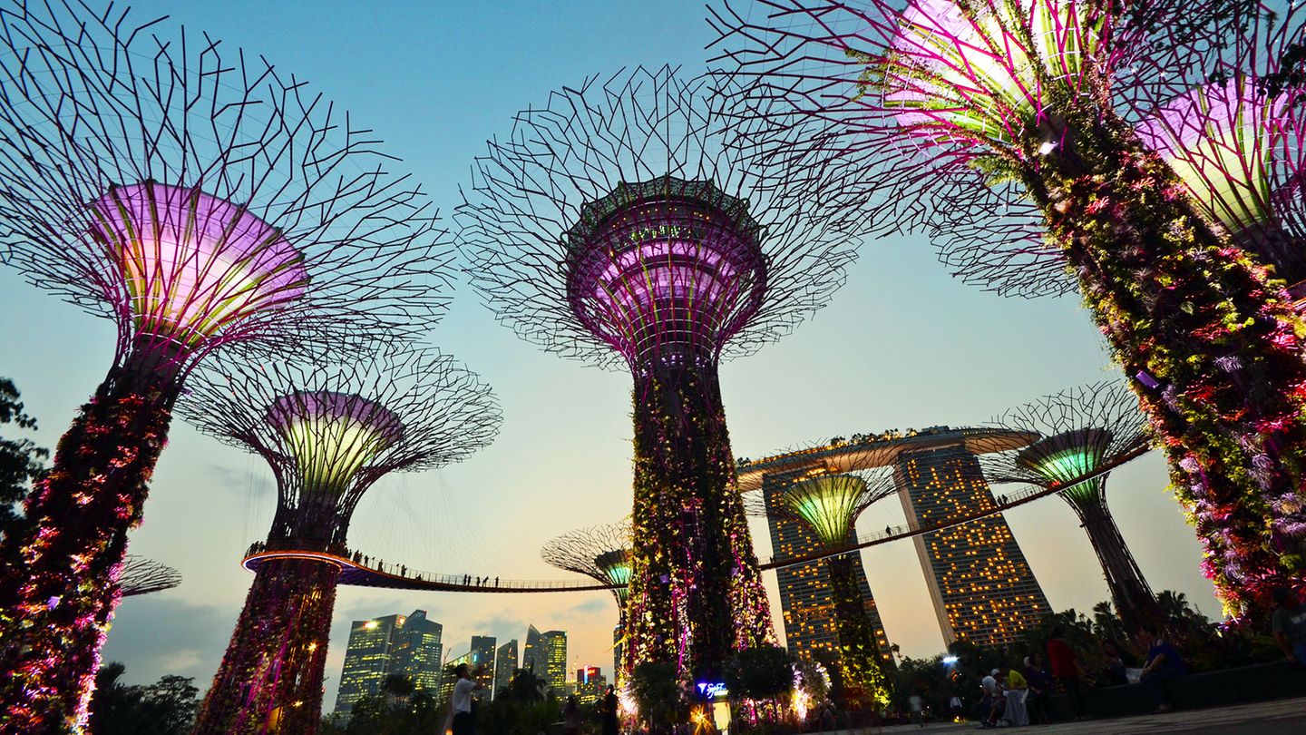 Die Super Trees ganz nah in der Abenddämmerung: Die 50 Meter hohen Stämme sind vertikal begehbare Gärten und eröffnen einen neuen Blick auf die Stadt und ihre ursprüngliche Flora.