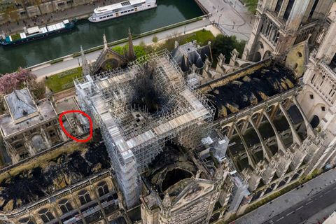 Bienen von Notre-Dame haben überlebt