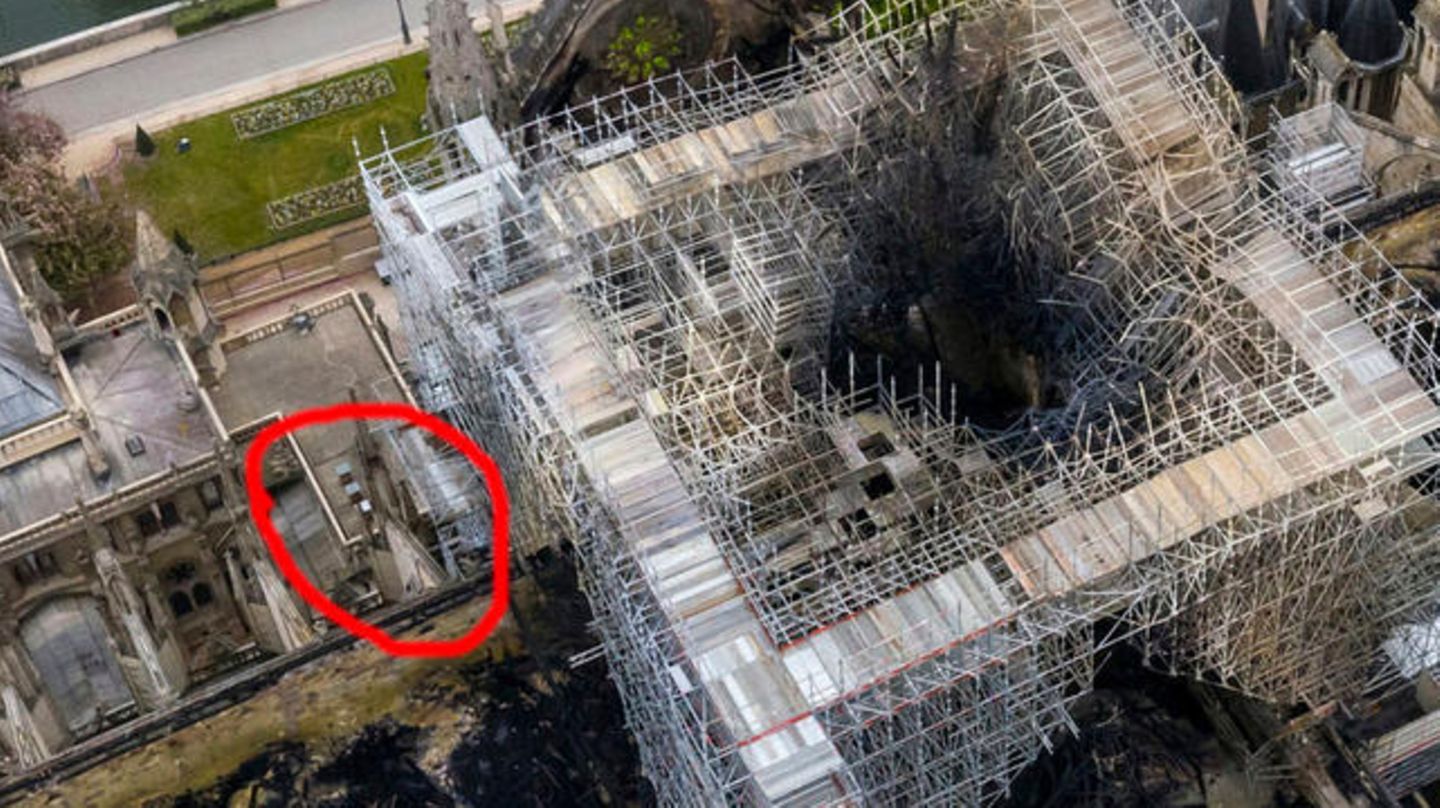 Bienen von Notre-Dame haben überlebt