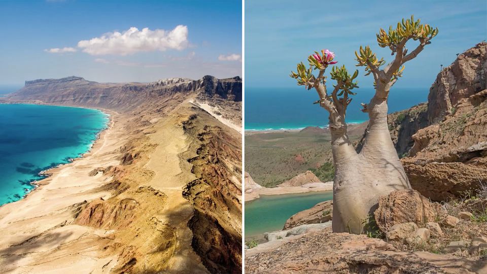 Socotora Island