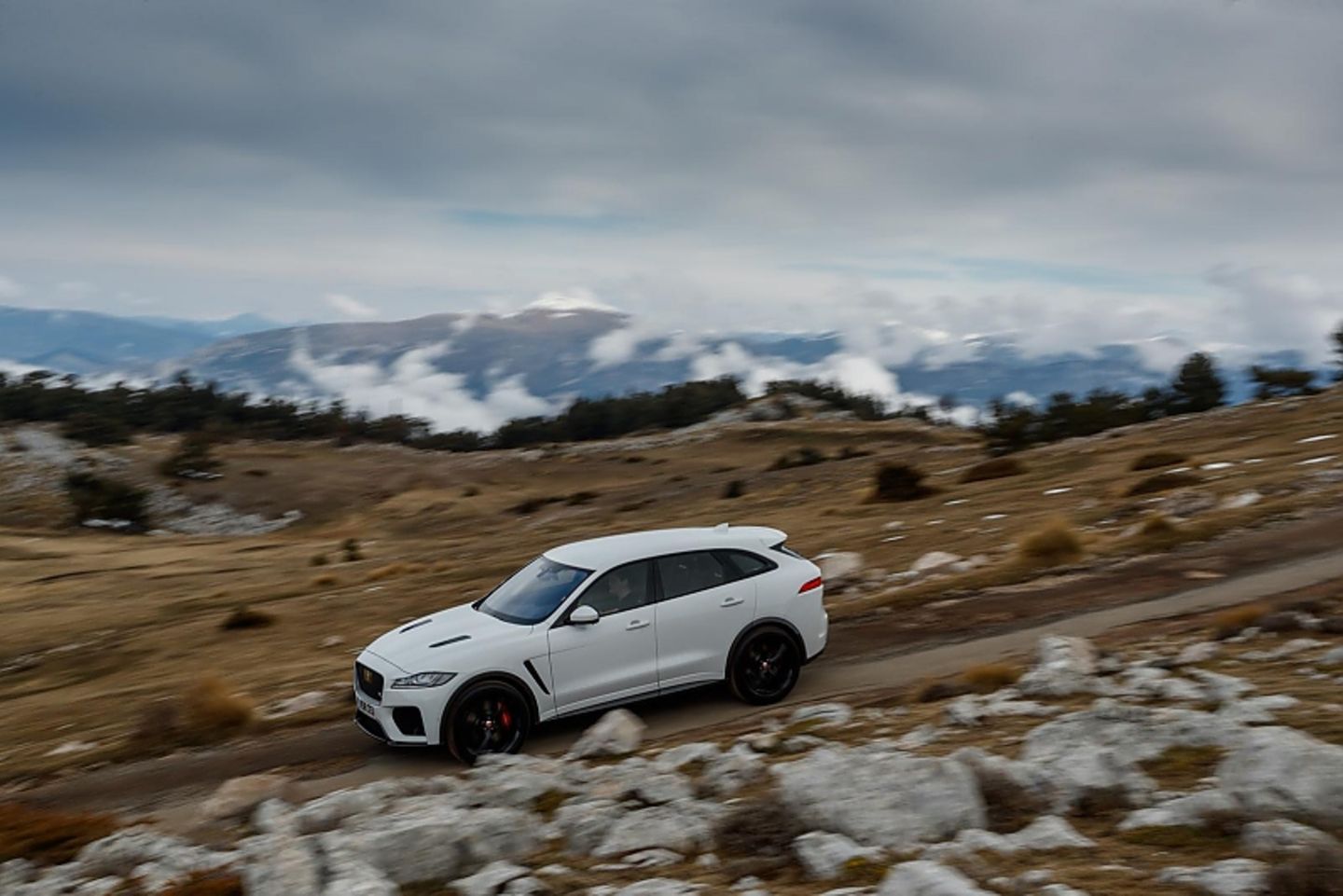 Der Jaguar F-Pace SVR taugt auch für leichtes Gelände