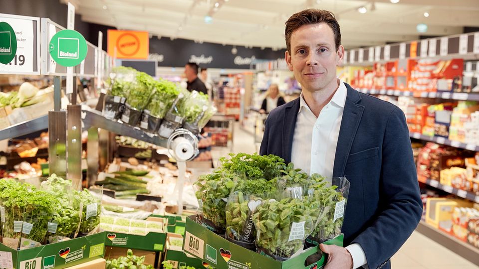 Jan Bock: Lidl-Einkaufschef Jan Bock: "Selbstverständlich verhandeln wir hart. Aber es ist ein Gerücht, dass wir unsere Lieferanten wie die Unterhemden wechseln. Das ist absoluter Blödsinn." Lidl-Einkaufschef Jan Bock: "Selbstverständlich verhandeln wir hart. Aber es ist ein Gerücht, dass wir unsere Lieferanten wie die Unterhemden wechseln. Das ist absoluter Blödsinn."