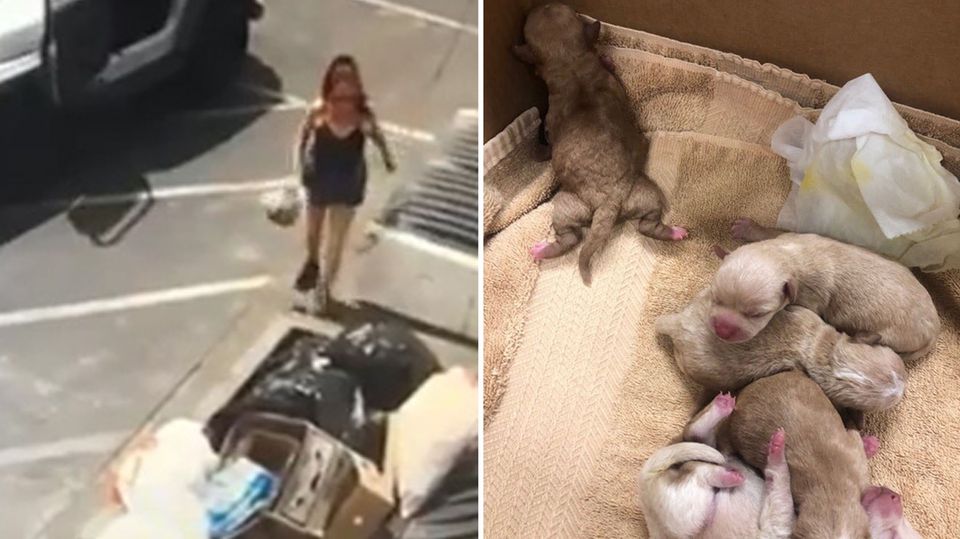 Eine Amerikanerin wirft eine Plastiktüte – mit sieben Hundewelpen – in eine Mülltonne.