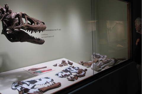 T-Rex Ebay Anzeige
