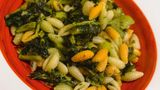 Malloreddus   Die Pasta Sardiniens   Für 4 Personen · Zubereitung: 90 Minuten · Kochzeit: 14–15 Minuten · Schwierigkeitsgrad: mittel      Zutaten:  Basisrezept: 250 g Hartweizengrieß, 250 g Grieß, 1 TL Salz       Zubereitung:  Hartweizengrieß und Grieß mit 3 l Wasser und Salz zu einem Teig kneten. Das Wasser dabei langsam hinzufügen, bis eine kompakte und feste Masse entsteht. Aus der Masse ein faustgroßes Stück nehmen und dieses mit den Handballen nach vorn und nach hinten kneten und zu einer etwa 0,5 cm dicken Rolle formen. Diese in 1–2 cm lange Stücke schneiden und dann einzeln über eine Gabel drücken. Auf einem sauberen Tuch ausbreiten und etwas trocknen lassen. Die so zubereiteten Malloreddus können einige Tage im Kühlschrank aufbewahrt oder gleich zubereitet werden. Dafür 14–15 Minuten in kochendem Salzwasser garen.