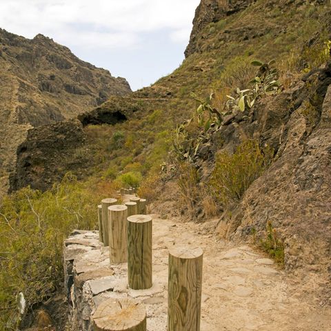 Bergiges Hinterland von Adeje, Teneriffa - Deutsche mit ihrem Sohn tot aufgefunden