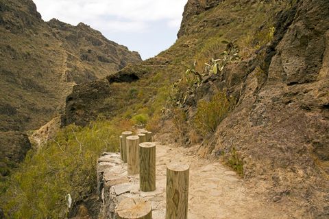 Bergiges Hinterland von Adeje, Teneriffa - Deutsche mit ihrem Sohn tot aufgefunden