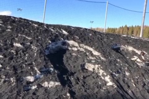 Pudel ist im Schnee kaum zu erkennen