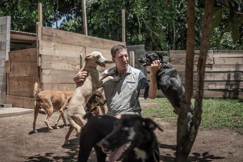 Glenn Greenwald baute in der Nähe Rio de Janeiros das Asyl "Hope" 