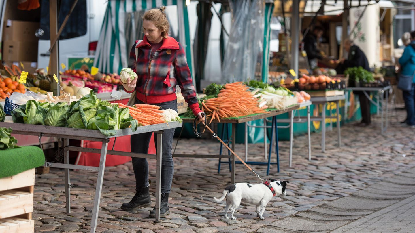 Hund auf dem Markt