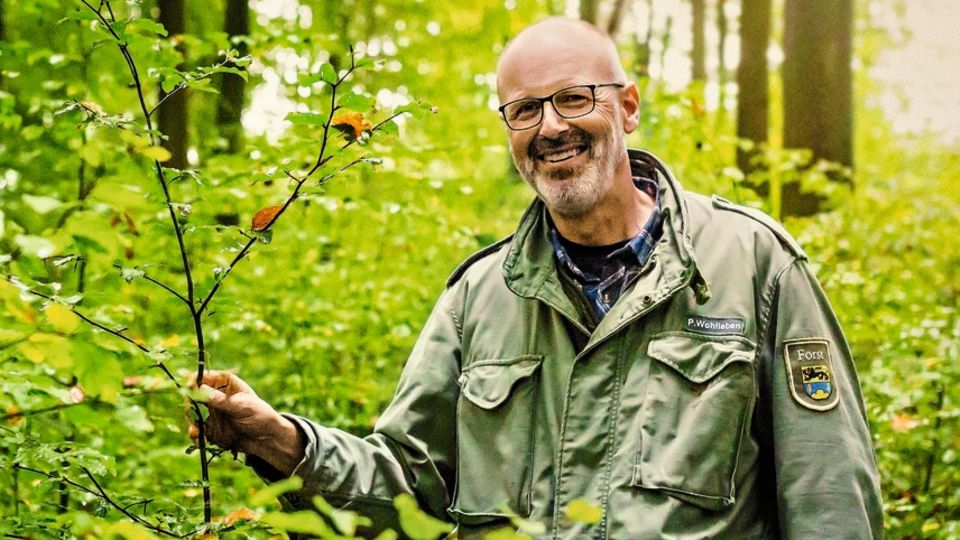 Peter Wohlleben im Wald