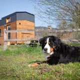 Die Verkleidung besteht aus heimischem Holz