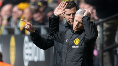 BVB-Coach Lucien Favre