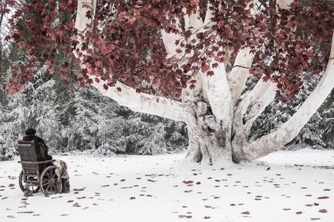 Unter dem Wehrholzbaum will Bran Stark in der nächsten Folge "Game of Thrones" auf den Nachtkönig warten