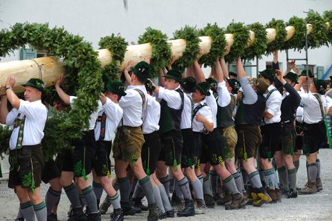 Männer in Trachten stellen einen Maibaum auf