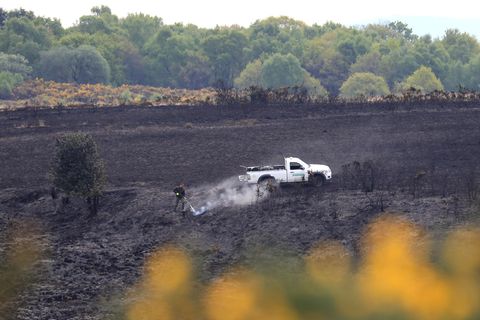 Nach dem Brand in Ashdown Forest