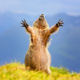 "Endlich Sonne"  Ein kleiner Sonnenanbeter freut sich über das schöne Wetter. Es könnte auch heißen: "Endlich Wochenende"