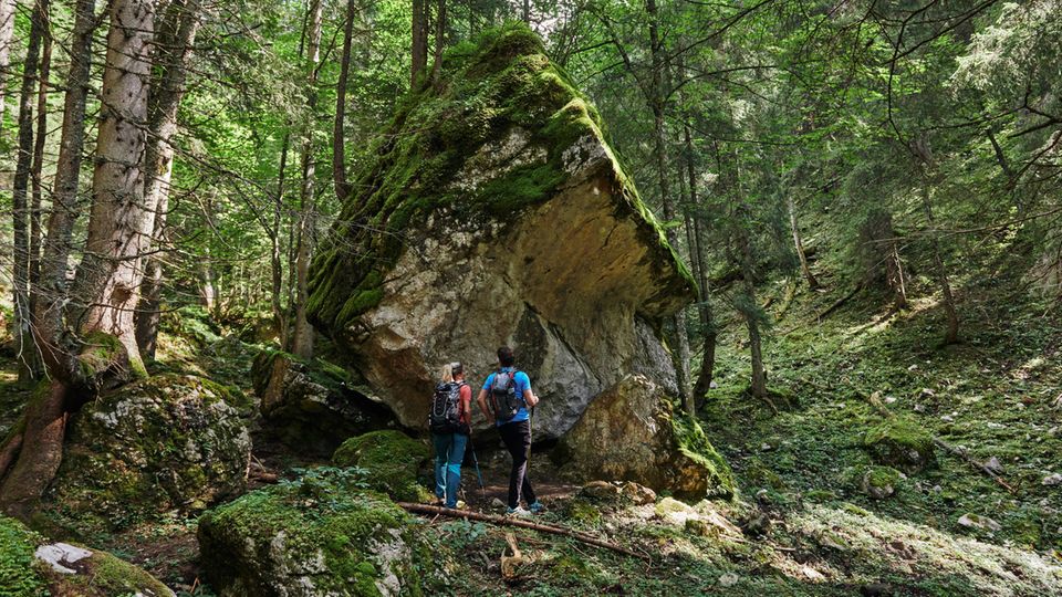 Österreichisches Gesäuse: Hindernislauf: Im Gesäuse müssen Wanderer mitunter riesige Felsbrocken umkurven. Hindernislauf: Im Gesäuse müssen Wanderer mitunter riesige Felsbrocken umkurven.