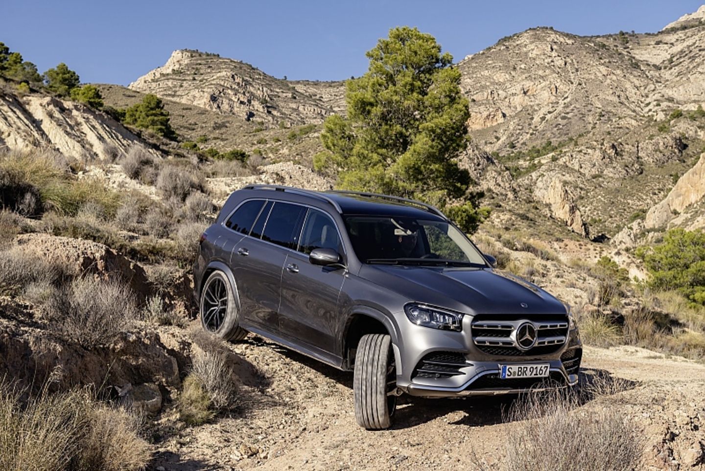 Mercedes GLS 2020