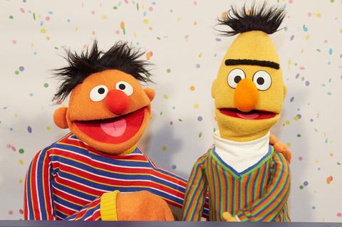 Ernie und Bert sind sehr beliebte Figuren der Kultserie "Sesamstraße".
