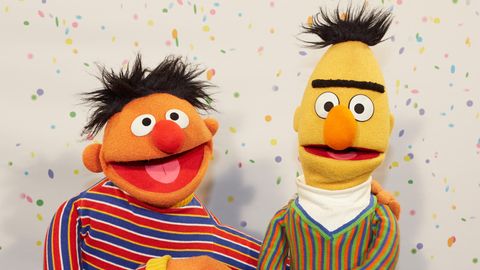 Ernie und Bert sind sehr beliebte Figuren der Kultserie "Sesamstraße".