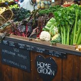 Nachhaltigkeit Küche