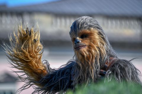 Chewbacca ist einer der größten Lieblinge der Fans