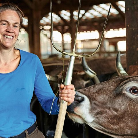 Biobauern auf dem Vormarsch: Abkehr von konventioneller Landwirtschaft