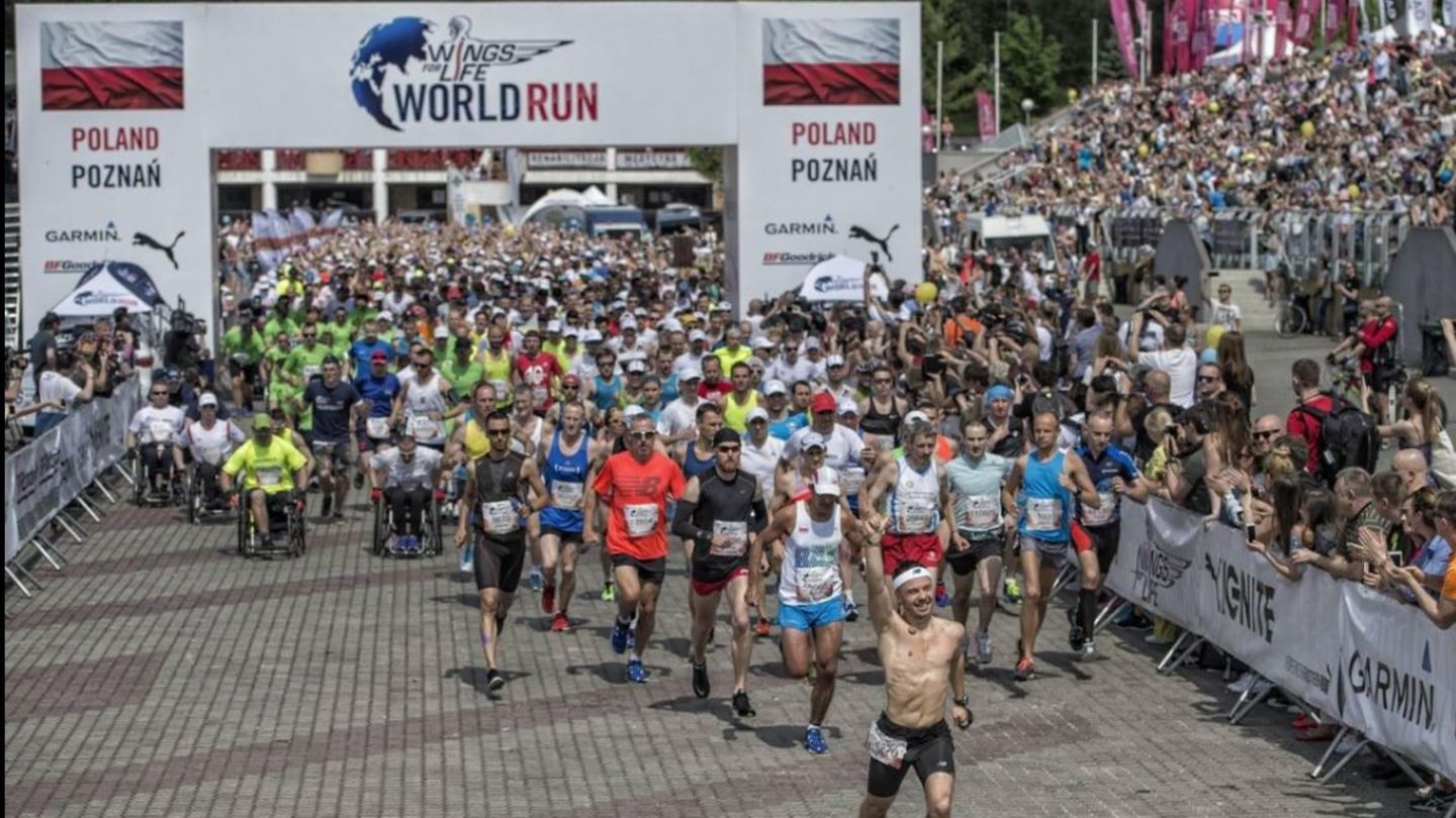 "Wings for Life World Run" Hunderttausende laufen für Gelähmte STERN.de